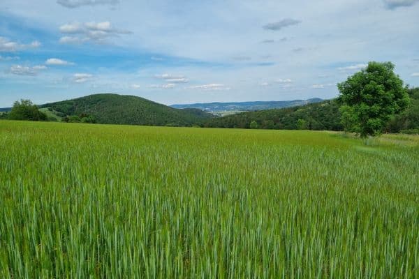 plot for sale, 1,408 m², Svatá plot for sale, 1,408 m², Svatá