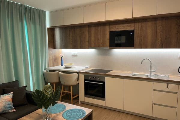 1 bedroom with open-plan kitchen flat to rent, 40 m², Tlustého, Hlavní město Praha 1 bedroom with open-plan kitchen flat to rent, 40 m², Tlustého, Hlavní město Praha