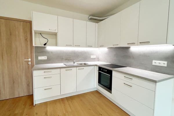 1 bedroom with open-plan kitchen flat to rent, 52 m², Dřevčická,  1 bedroom with open-plan kitchen flat to rent, 52 m², Dřevčická,