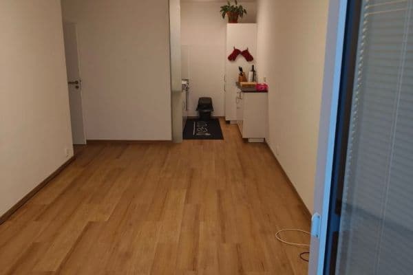 1 bedroom with open-plan kitchen flat to rent, 47 m², Milánská, Praha 1 bedroom with open-plan kitchen flat to rent, 47 m², Milánská, Praha