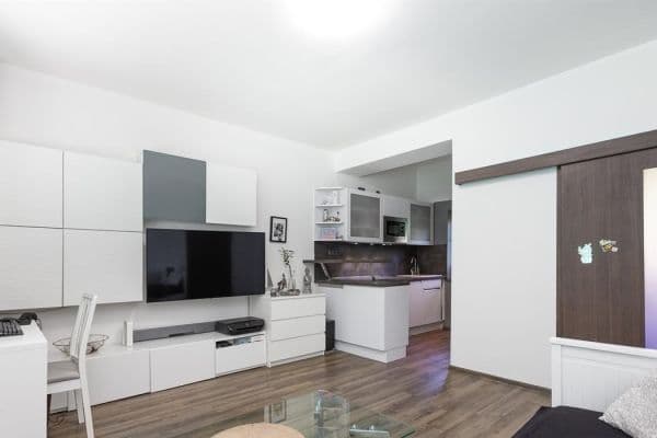 1 bedroom with open-plan kitchen flat for sale, 39 m², Havlenova, Brno 1 bedroom with open-plan kitchen flat for sale, 39 m², Havlenova, Brno