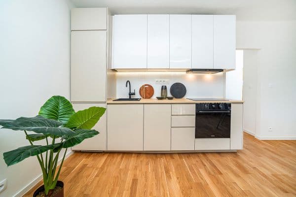 1 bedroom with open-plan kitchen flat for sale, 50 m², Květinková, Prague, Prague 1 bedroom with open-plan kitchen flat for sale, 50 m², Květinková, Prague, Prague