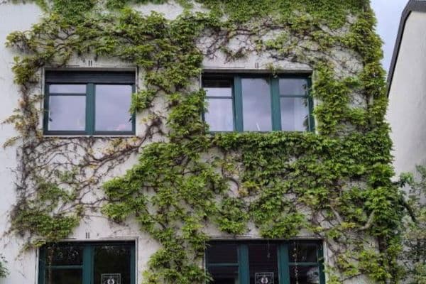 house for sale, 160 m², Bonn house for sale, 160 m², Bonn