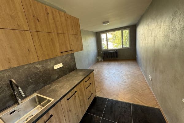 1 bedroom with open-plan kitchen flat to rent, 41 m², Na Úlehli, Praha 1 bedroom with open-plan kitchen flat to rent, 41 m², Na Úlehli, Praha