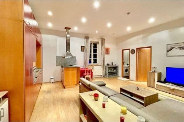 1 bedroom with open-plan kitchen flat to rent, 54 m², Letná Square, Capital City of Prague 1 bedroom with open-plan kitchen flat to rent, 54 m², Letná Square, Capital City of Prague