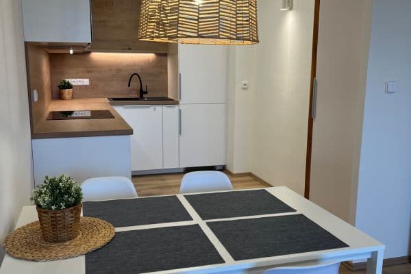 2 bedroom with open-plan kitchen flat to rent, 65 m², Kocianova, Praha 2 bedroom with open-plan kitchen flat to rent, 65 m², Kocianova, Praha