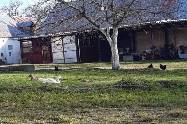 non-residential property to rent, 200 m², Stříbrná Lhota, Mníšek pod Brdy, Středočeský Region non-residential property to rent, 200 m², Stříbrná Lhota, Mníšek pod Brdy, Středočeský Region