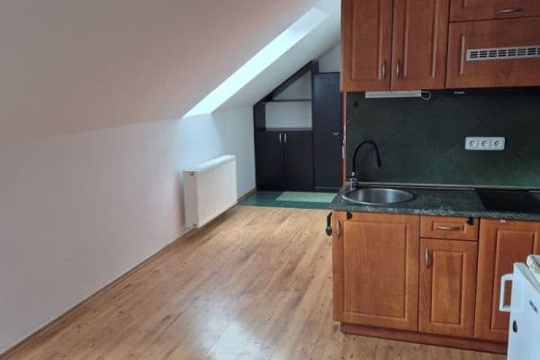 1 bedroom with open-plan kitchen flat to rent, 40 m², Cornovova, Brno 1 bedroom with open-plan kitchen flat to rent, 40 m², Cornovova, Brno