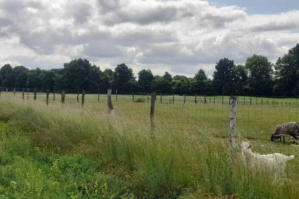 plot for sale, 1,450 m², Struhy plot for sale, 1,450 m², Struhy
