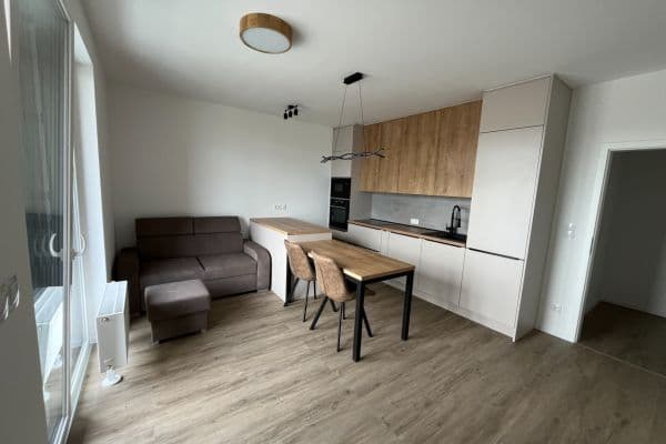 1 bedroom with open-plan kitchen flat to rent, 49 m², České Budějovice 1 bedroom with open-plan kitchen flat to rent, 49 m², České Budějovice