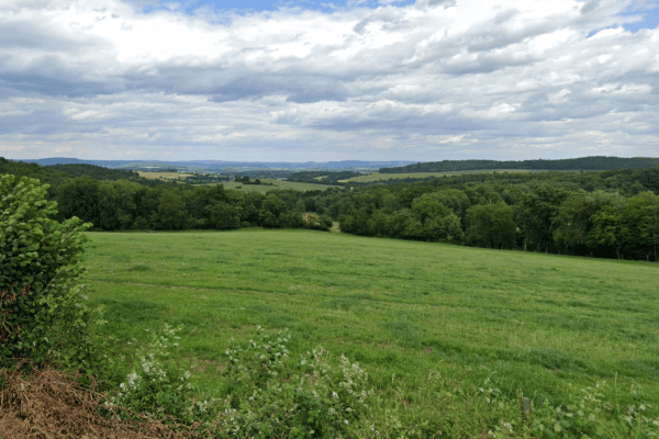 plot for sale, 12,682 m², Netvořice plot for sale, 12,682 m², Netvořice