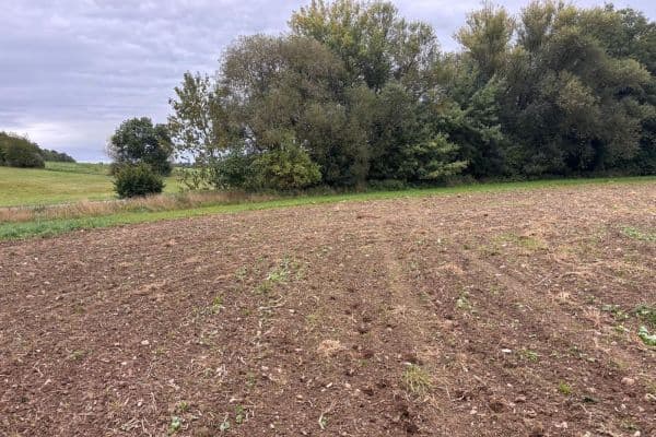 plot for sale, 1,314 m², Konice plot for sale, 1,314 m², Konice