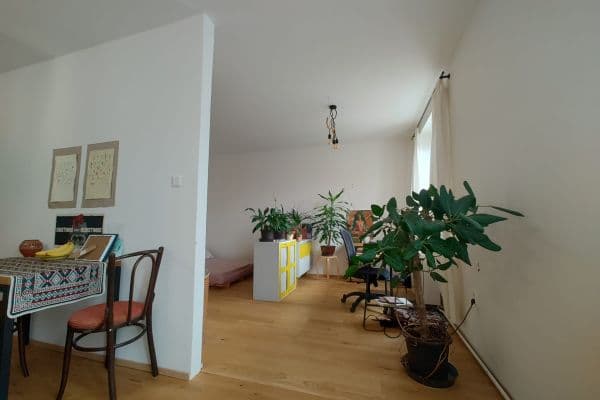 Studio flat to rent, 40 m², kpt. Nálepky, Olomouc Studio flat to rent, 40 m², kpt. Nálepky, Olomouc