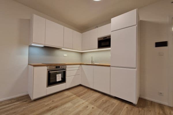 1 bedroom with open-plan kitchen flat to rent, 50 m², Hábova, Praha 1 bedroom with open-plan kitchen flat to rent, 50 m², Hábova, Praha
