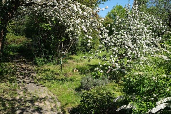 plot for sale, 698 m², Panketal plot for sale, 698 m², Panketal
