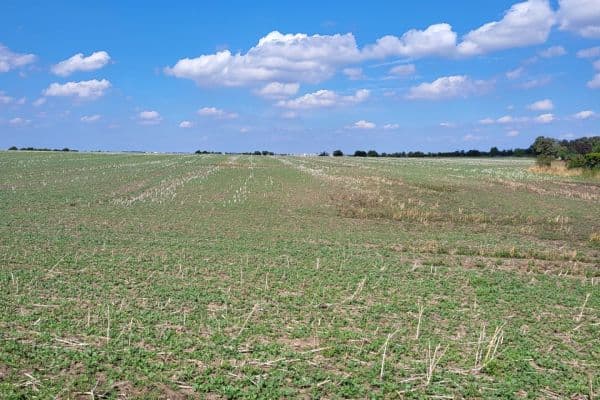plot for sale, 3,488 m², Praha plot for sale, 3,488 m², Praha