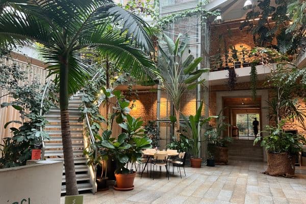 office to rent, 160 m², Záhřebská, Prague, Prague office to rent, 160 m², Záhřebská, Prague, Prague