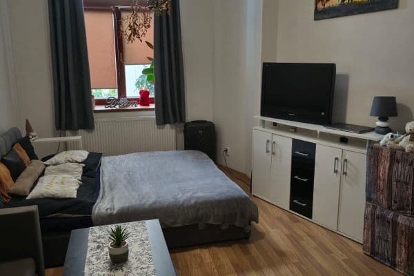 Studio flat to rent, 45 m², Na Sadech, České Budějovice Studio flat to rent, 45 m², Na Sadech, České Budějovice