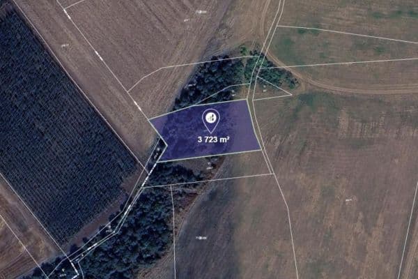 plot for sale, 3,723 m², Nové Sedlo plot for sale, 3,723 m², Nové Sedlo