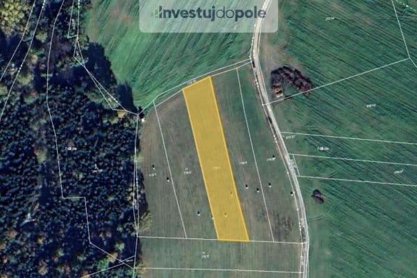 Plot for sale Plot for sale