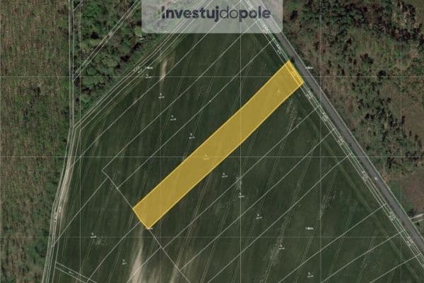 plot for sale, 1,594 m², Loučeň plot for sale, 1,594 m², Loučeň