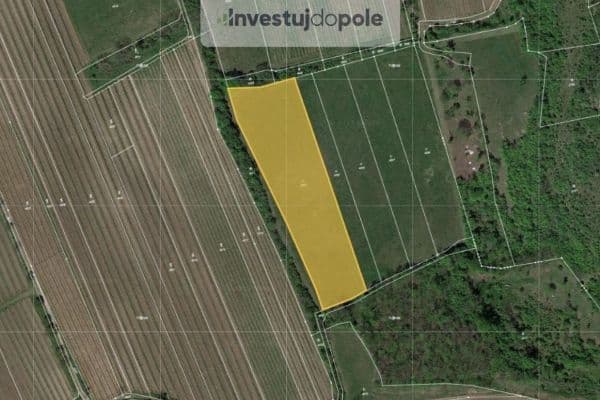 plot for sale, 8,391 m², Horní Věstonice plot for sale, 8,391 m², Horní Věstonice