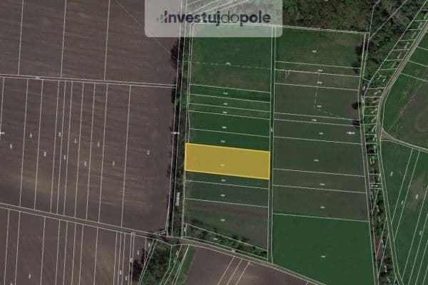 plot for sale, 2,963 m², Sokolnice plot for sale, 2,963 m², Sokolnice