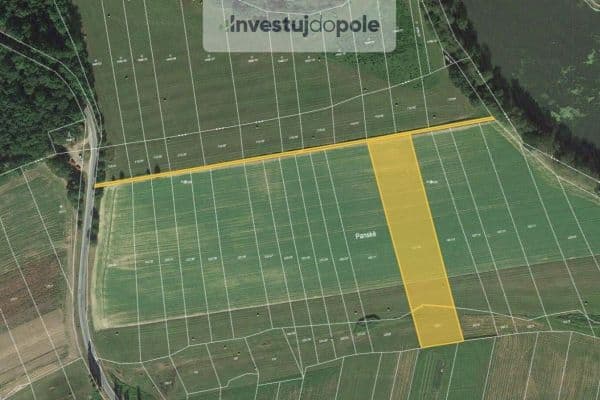 plot for sale, 3,000 m², plot for sale, 3,000 m²,