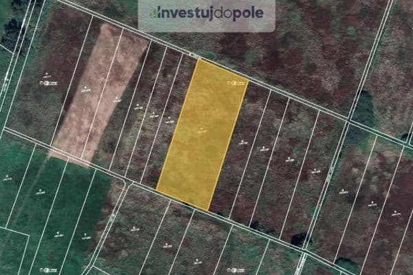 Plot for sale Plot for sale