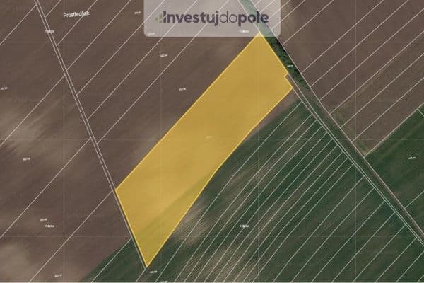 plot for sale, 11,711 m², Nový Poddvorov, Jihomoravský Region plot for sale, 11,711 m², Nový Poddvorov, Jihomoravský Region