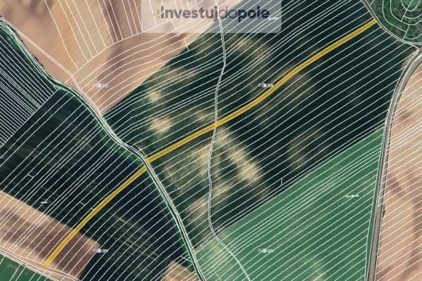 plot for sale, 8,100 m²,  plot for sale, 8,100 m²,