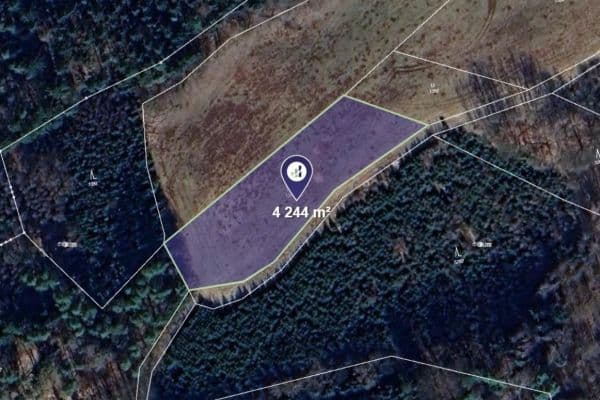 plot for sale, 4,244 m², Úbislavice plot for sale, 4,244 m², Úbislavice