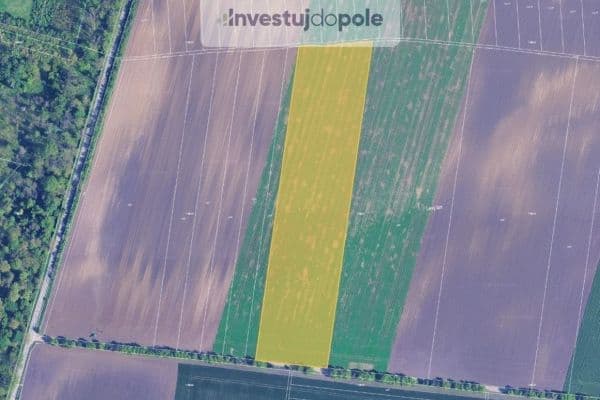 plot for sale, 31,775 m², Sokolnice plot for sale, 31,775 m², Sokolnice