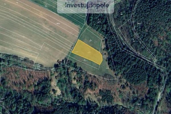 Plot for sale Plot for sale