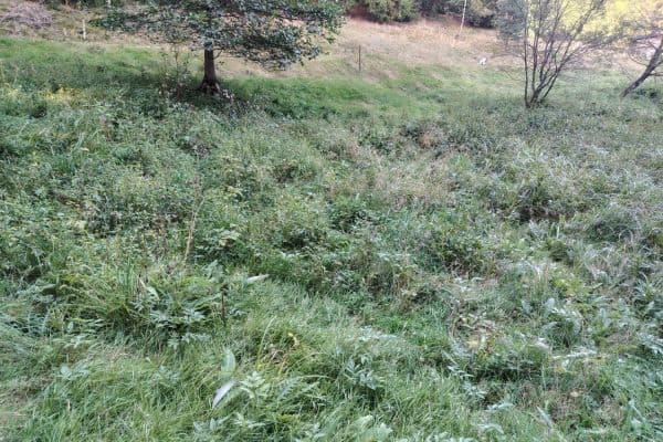 Plot for sale Plot for sale