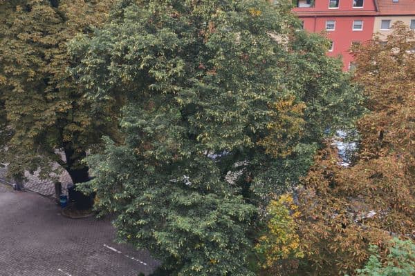 Small studio flat to rent, 27 m², Kbelská, Praha Small studio flat to rent, 27 m², Kbelská, Praha