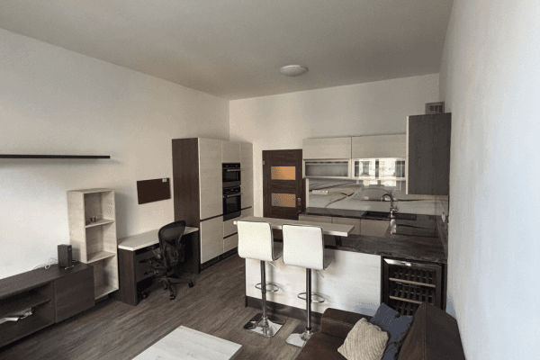 1 bedroom with open-plan kitchen flat to rent, 55 m², Březinova, Praha 1 bedroom with open-plan kitchen flat to rent, 55 m², Březinova, Praha