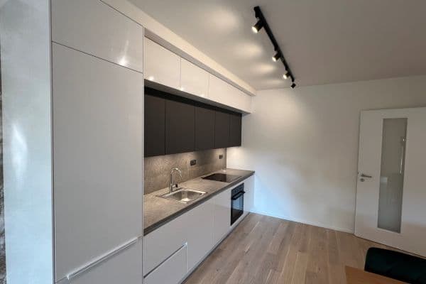 1 bedroom with open-plan kitchen flat to rent, 60 m², Radimova, Hlavní město Praha 1 bedroom with open-plan kitchen flat to rent, 60 m², Radimova, Hlavní město Praha