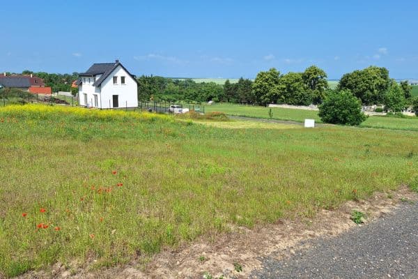 Plot for sale Plot for sale