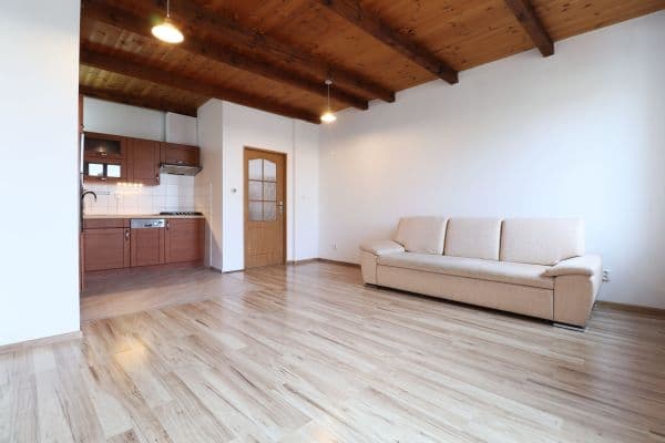 2 bedroom with open-plan kitchen flat to rent, 67 m², Starofarní,  2 bedroom with open-plan kitchen flat to rent, 67 m², Starofarní,