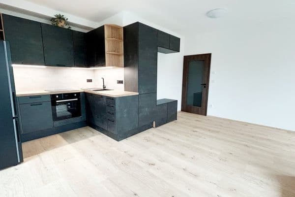 2 bedroom with open-plan kitchen flat to rent, 59 m², U Štěpánků, 2 bedroom with open-plan kitchen flat to rent, 59 m², U Štěpánků,