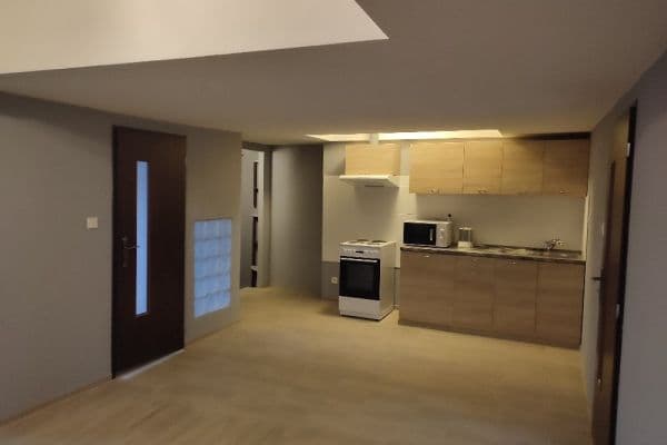 1 bedroom with open-plan kitchen flat to rent, 53 m², Chotilsko 1 bedroom with open-plan kitchen flat to rent, 53 m², Chotilsko