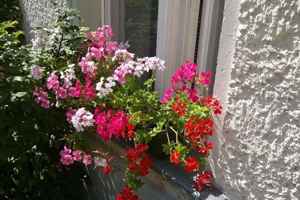 Studio flat for sale, 40 m², Berlin, Berlin Studio flat for sale, 40 m², Berlin, Berlin