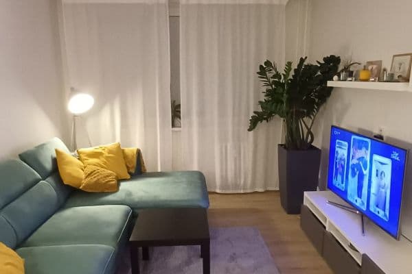 1 bedroom with open-plan kitchen flat to rent, 43 m², Luhovská, Praha 1 bedroom with open-plan kitchen flat to rent, 43 m², Luhovská, Praha