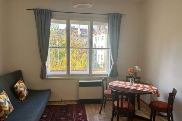 1 bedroom with open-plan kitchen flat to rent, 53 m², Podolská, Praha 1 bedroom with open-plan kitchen flat to rent, 53 m², Podolská, Praha
