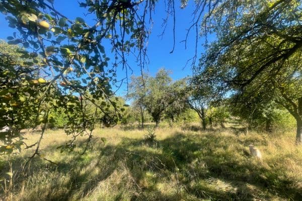 plot for sale, 1,000 m², Horažďovice plot for sale, 1,000 m², Horažďovice