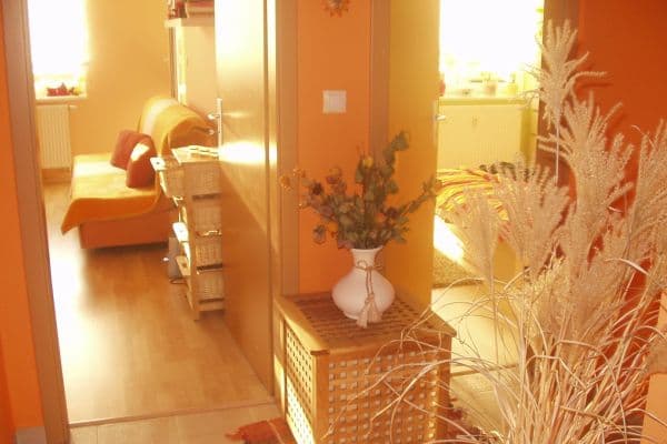 1 bedroom with open-plan kitchen flat for sale, 48 m², Brandýská, Mratín 1 bedroom with open-plan kitchen flat for sale, 48 m², Brandýská, Mratín