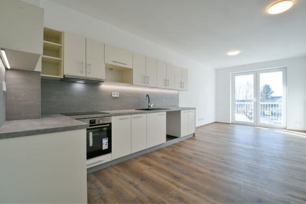 1 bedroom with open-plan kitchen flat for sale, 53 m², Královské svahy, Lázně Kynžvart 1 bedroom with open-plan kitchen flat for sale, 53 m², Královské svahy, Lázně Kynžvart
