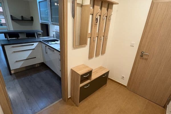 1 bedroom with open-plan kitchen flat to rent, 50 m², Na Vlnovce, Ústí nad Labem, Ústecký Region 1 bedroom with open-plan kitchen flat to rent, 50 m², Na Vlnovce, Ústí nad Labem, Ústecký Region