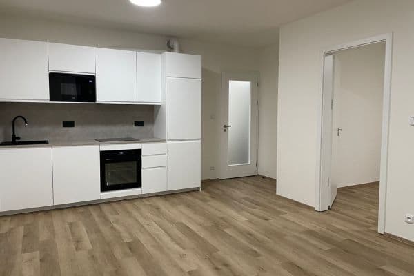 1 bedroom with open-plan kitchen flat to rent, 52 m², Čakovická, Praha 1 bedroom with open-plan kitchen flat to rent, 52 m², Čakovická, Praha